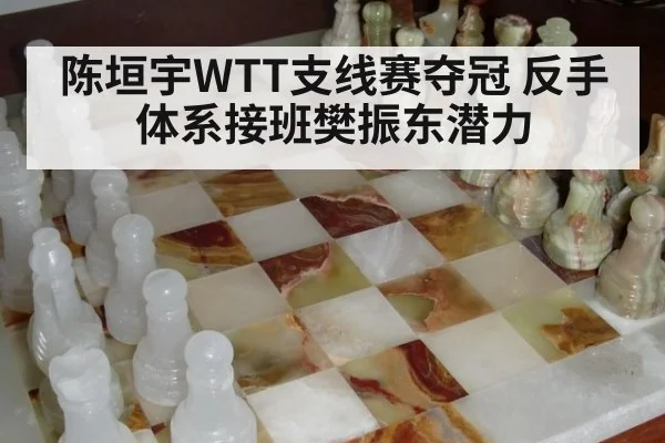 陈垣宇WTT支线赛夺冠 反手体系接班樊振东潜力